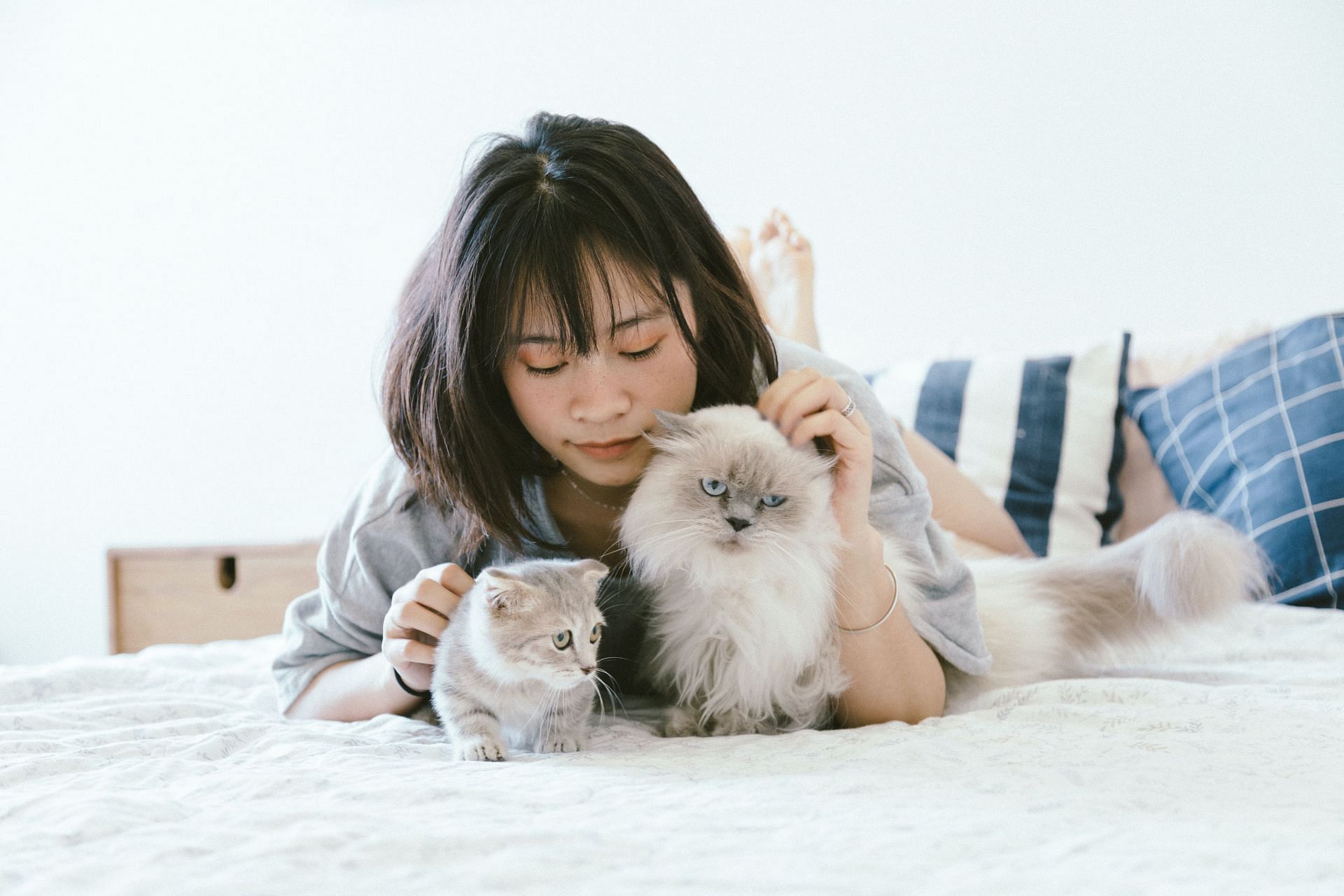 A pet will not judge you for who you are. (Photo via Pexels/Tranmautritam)
